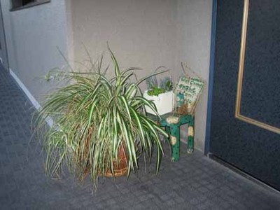 IMG_3203.jpg