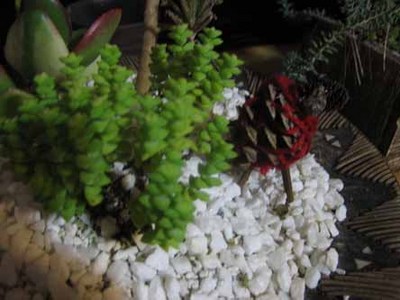 IMG_3359.jpg