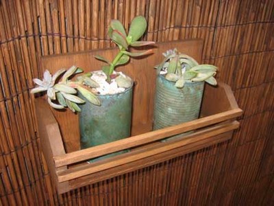 IMG_3721.jpg